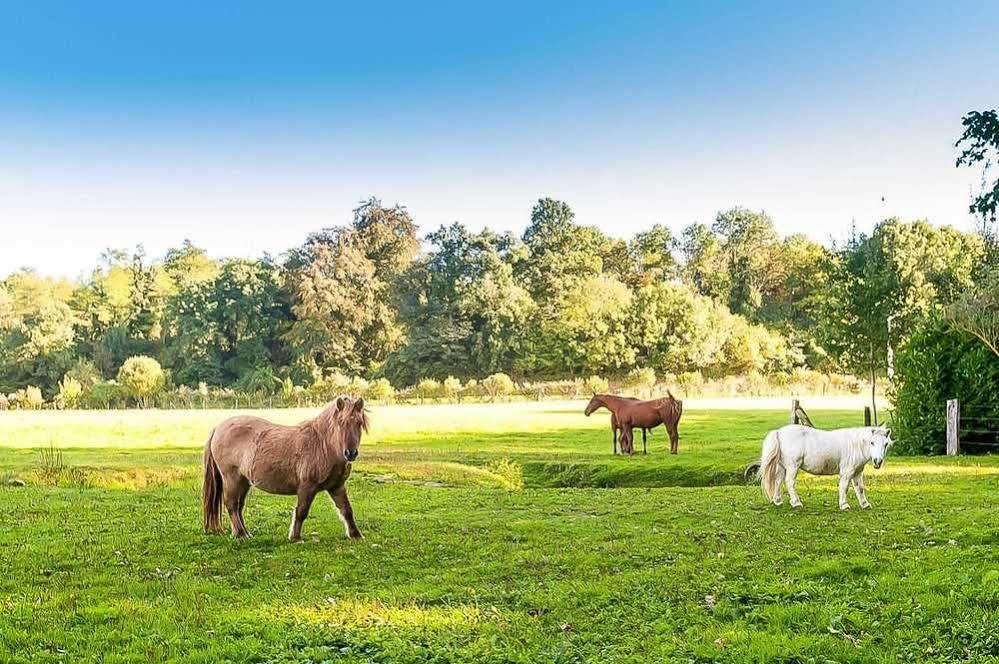 Le Clos Des Vignes Neuville-Bosc エクステリア 写真